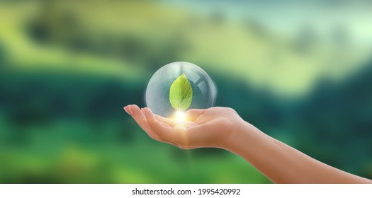 Hand holding green leaves with energy sources for renewable sustainable development. Ecological concept.  - Shutterstock ID 1995420992