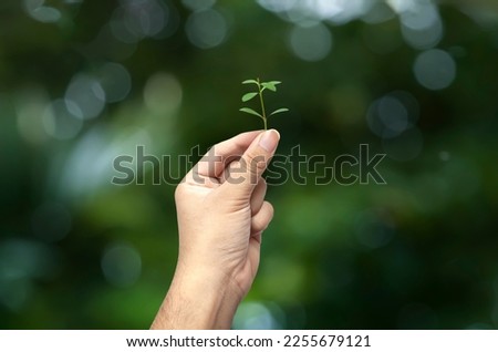 Similar – Image, Stock Photo Dirty boy hands holding small young herbal sprout plant