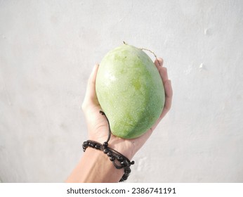 a hand holding a green mango isolated on white. overexposed stock photo