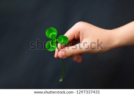 Similar – young hand in turquoise jacket holds four-leaf green clover