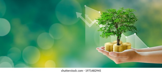 Hand Holding Growing Tree On Coins With Stock Graph Over Green Background. Saving Ecology, Csr Green Business, Business Ethics, Good Governance, Investment Ideas, And Business Growth Concept.