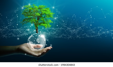 Hand Holding Growing Tree On Crystal Ball With Technological Convergence Blue Background. Innovative Technology, Nature Technology Interaction, Environmental Friendly, IT Ethics, And Ecosystem Concept