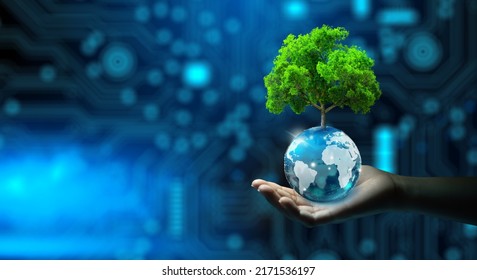 Hand Holding Growing Tree On Crystal Ball With Technological Convergence Blue Background. Innovative Technology, Nature Technology Interaction, Environmental Friendly, IT Ethics, And Ecosystem Concept