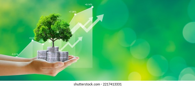 Hand Holding Growing Tree On Coins With Stock Graph Over Green Background. Saving Ecology, Csr Green Business, Business Ethics, Good Governance, Investment Ideas, And Business Growth Concept.