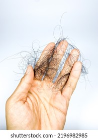 Hand holding hair loss due to genetics, incorrect treatments, hormonal changes, malnutrition, medications and certain diseases. One of the causes of baldness in the head. Isolated White Background. - Shutterstock ID 2196982985