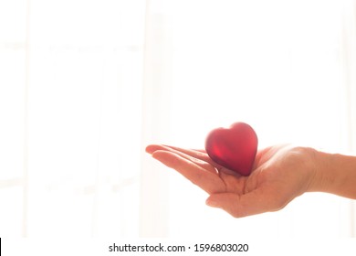 
Hand Holding Hart On White Background