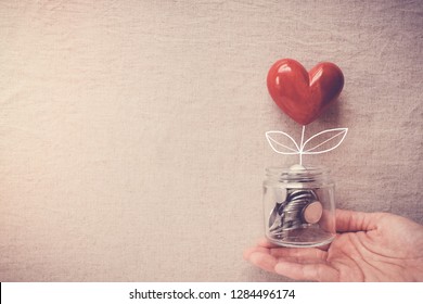 Hand Holding Heart Plant Jar Growing On Money Coins, Saving, CSR Social Responsibility,fundraising, Donation,ngo And Community Care, ESG, Environmental Social Governance Concept 
