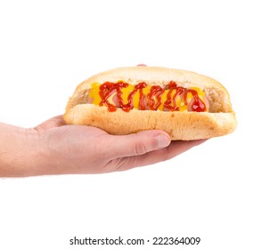 Hand Holding Hot Dog. Isolated On A White Background. 