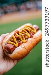 Hand holding hotdog, mustard and ketchup, baseball game blurred behind. The excitement of a live baseball game with a hotdog in hand.