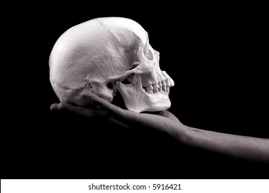 Hand Holding Human Skull