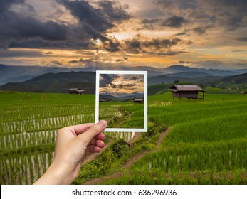 Hand Holding Instant Photo And View Rice Sunset.