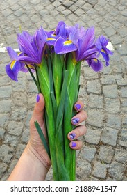 Hand Holding Irises Bouquet. Iris Germanica. Beautiful Sring Violet Flowers. 