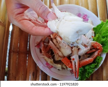 Hand Holding Jumbo Lump Crab