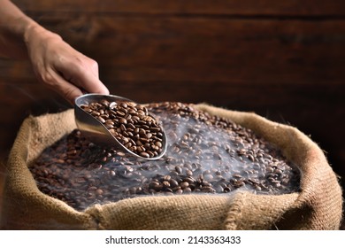 Hand holding a ladle scooping up roasted coffee beans from a pile of beans in burlap sack with cloud of smoke on top. Freshly roasted aromatic strong dark brown coffee beans. 