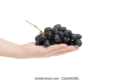 A Hand Holding A Large Bunch Of Fresh Black Grapes. Isolated Over White Background. Close-up.