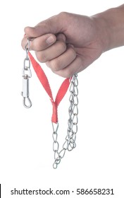 Hand Holding Leash For Dog On A White Background