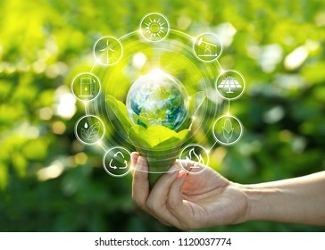 Hand holding light bulb against nature on green leaf with icons energy sources for renewable, sustainable development. Ecology concept. Elements of this image furnished by NASA. - Shutterstock ID 1120037774