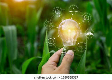 hand holding light bulb against nature, icons energy sources for renewable, - Shutterstock ID 1589588317