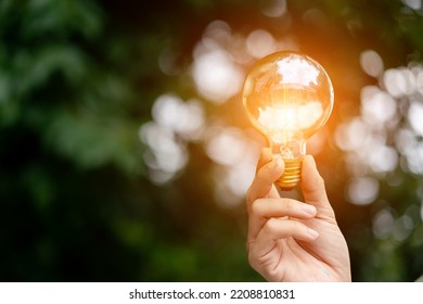 Hand Holding Light Bulb Against Nature,concept Clean Energy Transition Based On Nature.