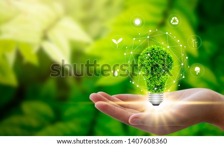Hand holding light bulb against nature on green leaf with icons energy sources for renewable, sustainable development. Technology ,Environment ,Ecology concept.