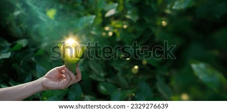 Hand holding light bulb against nature on green leaf with energy sources, Sustainable developmen and responsible environmental, Energy sources for renewable, Ecology concept. 