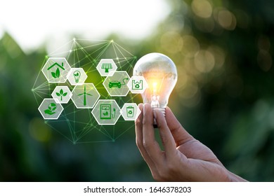 Hand holding light bulb with icons energy sources for renewable,love the world concept. - Shutterstock ID 1646378203