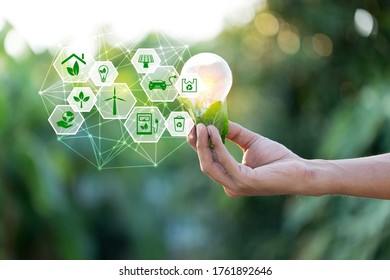 Hand holding light bulb with icons energy sources for renewable,love the world concept. - Shutterstock ID 1761892646