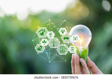 Hand holding light bulb with icons energy sources for renewable,love the world concept. - Shutterstock ID 1835739676