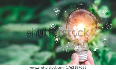 Hand holding light bulb ideas on a background of blurred green trees Ecological energy efficiency energy efficiency concept Together with the conservation of alternative energy and alternative energy.