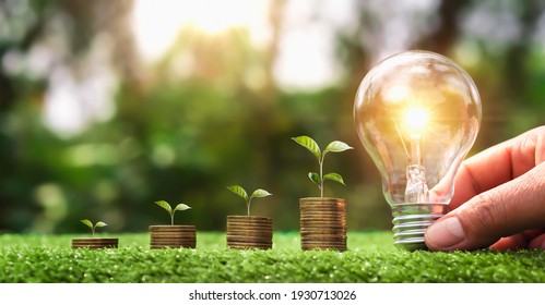 Hand Holding Light Bulb On Green Grass With Young Plant Growing On Coins Stack. Saving Power Energy And Save Money