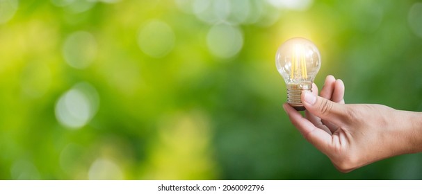 In Hand Holding A Light Bulb On Greenbackground Showing The Concept Of Saving Energy And Turning To Natural Energy.