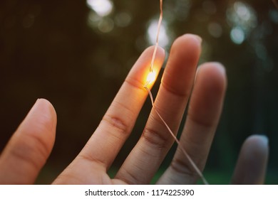 Hand Holding A Light Bulb From String Lights.