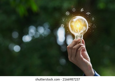 Hand holding light bulb and sustainable development interface icons on green background, Technology and environment concept.