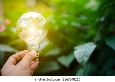 hand holding a light bulb,Thinking and creative concept Clean energy transition based on nature. - Shutterstock ID 2165848213