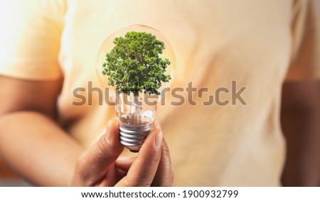 hand holding lightbulb with tree insite. concept eco energy inovation