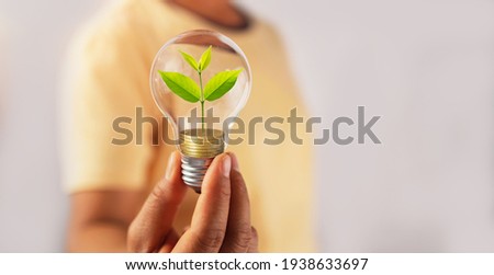 hand holding lightbulb with tree insite and money. concept eco energy inovation