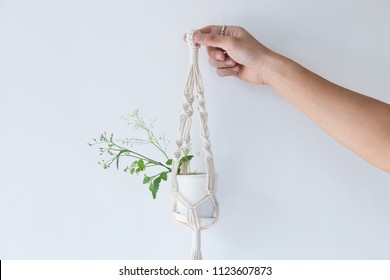 Hand Holding Macrame Plant Hangers In Scandinavian Interior.