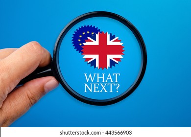 Hand holding magnifying glass over the words What Next?, Brexit conceptual.