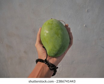 a hand holding a mango stock photo