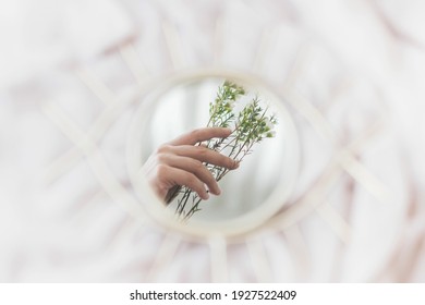 Hand Holding Manuka Flowers Reflected In Mirror On Background Of Soft Fabric. Floral Scent. Happy Womens And Mothers Day. Mental Health Concept. Gentle Image. Eye Shape Boho Mirror