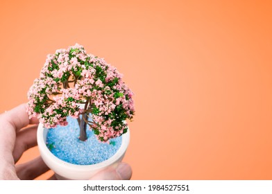 A Hand Holding Miniature Cherry Blossom Bonsai Tree On A Pot Isolated On Orange Background