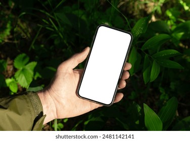 . Hand holding mobile phone screen, smartphone mockup in nature, sunny day, green plants.. - Powered by Shutterstock