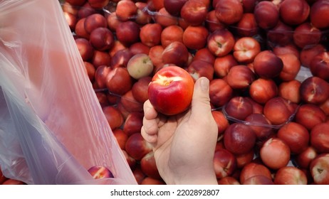 Hand Holding Nectarine. Farm Market Store