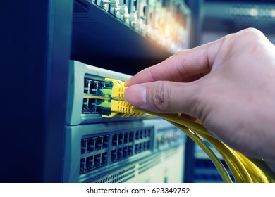 Hand Holding Network Cables Connected To Server