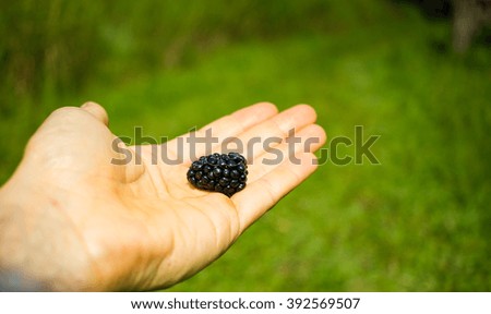 Similar – Ripe blackberries in hand