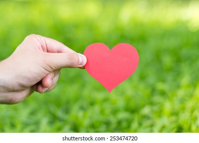 Hand Holding Paper Heart. 