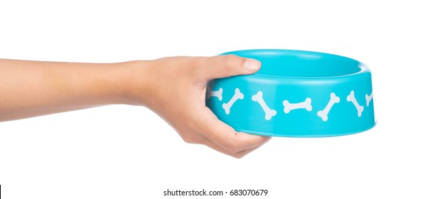 hand holding pets bowl isolated on white background