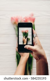 Hand Holding Phone Taking Photo Of Stylish Flower Flat Lay, Pink Tulips On White Wooden Rustic Background. Spring Fresh Mood. Instagram Blogging Workshop Concept. Space For Text