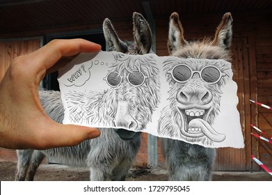 A hand holding a piece of paper in front of two donkeys, the paper has a caricature drawing of two different expressions for the animals, one smiling the other pulling a funny face