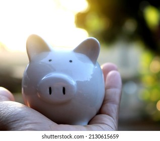 Hand Holding Piggy Banck Carefully With Bright Of Nature On Morning. Piggy Bank Saving Concept. Save Money For Prepare In The Future.